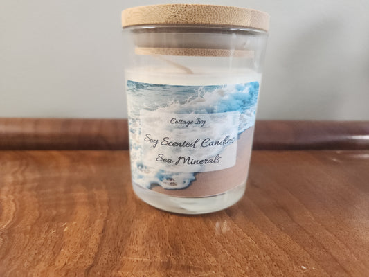 Sea Minerals Soy Scented Candle